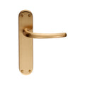 Lilla Lever on Backplate