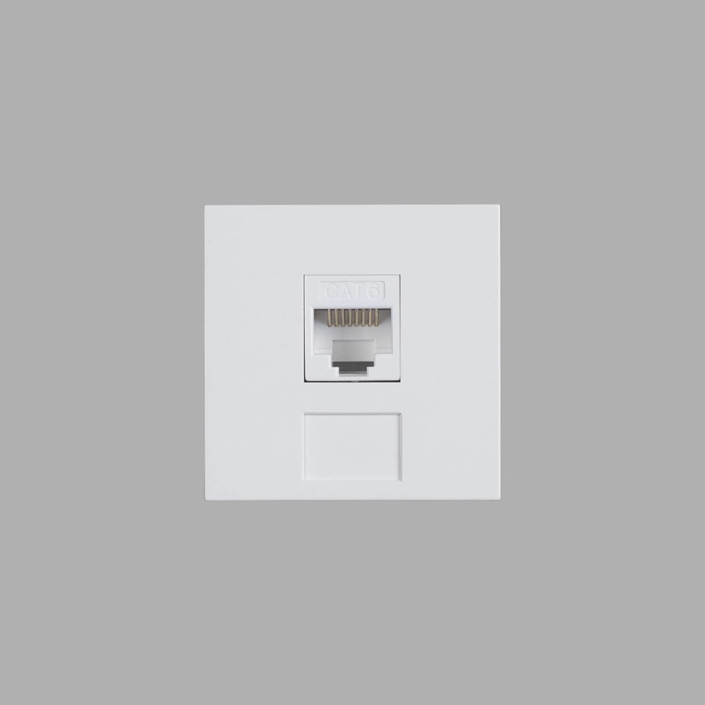 Buster + Punch Rj45 Module / 45 Mm