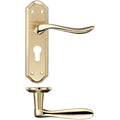 Lincoln Lever on Backplate Lever Euro Lock Polished Brass Love Handles uk