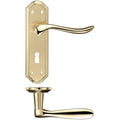 Lincoln Lever on Backplate Lever Lock Polished Brass Love Handles uk