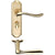 Lever Bathroom / Polished Brass
