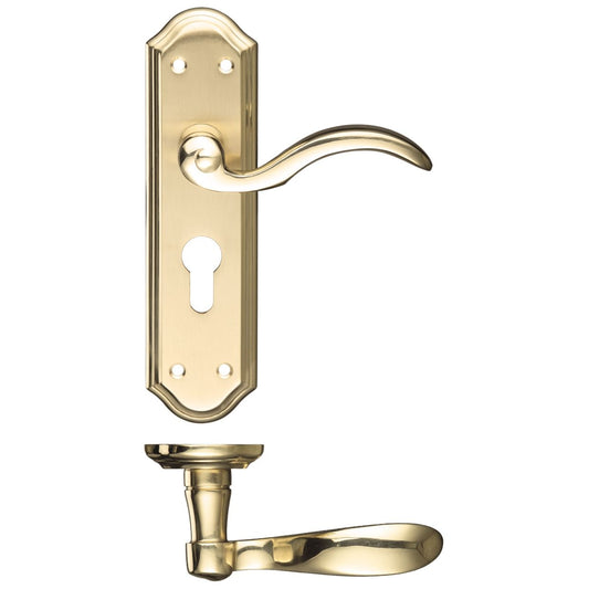 Winchester Lever on Backplate Lever Euro Lock Polished Brass Love Handles uk