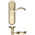 Winchester Lever on Backplate Lever Lock Polished Brass Love Handles uk
