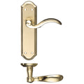 Winchester Lever on Backplate Lever Latch Polished Brass Love Handles uk
