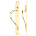 Cast Brass Pull Handle with Art Nouveau Backplate - 377 x 42mm