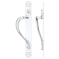 Cast Brass Pull Handle with Art Nouveau Backplate - 377 x 42mm
