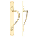 Cast Brass Pull Handle with Art Nouveau Backplate - 377 x 42mm