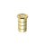 Polished Brass
