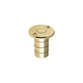 Zoo Hardware Dust Socket for Flush Bolts in brass finish, designed for 20mm diameter and 38mm height applications, featuring a recessed top and two screw holes for installation.