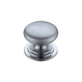 Victorian Cupboard Knob