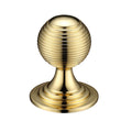 Queen Anne Ringed Knob