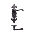 Lever on Fleur De Lys Backplate