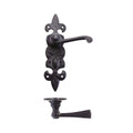Lever on Fleur De Lys Backplate