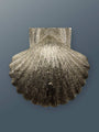 Brass Shell Door Knocker