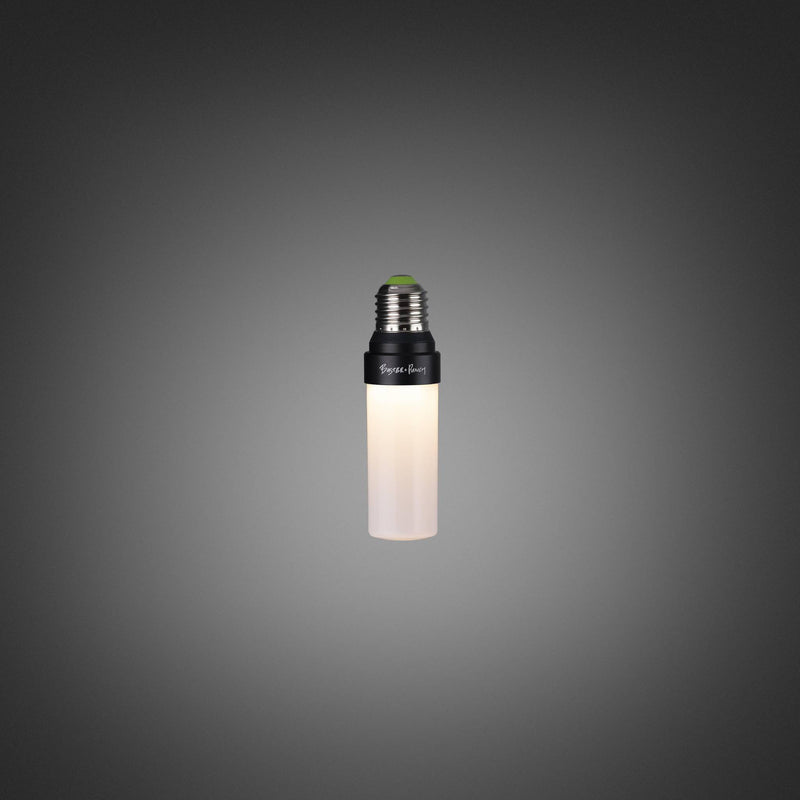 Buster + Punch Punch Bulb / Forked / Opal Opal