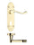 Lever on Lock Backplate / Electro Brass