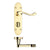 Lever on Bathroom Backplate / Electro Brass
