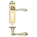 Project Arundel Lever Handle on Backplate