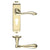 Euro Backplate / Electro Brass