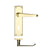 Lock Backplate / Electro Brass