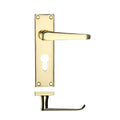 Project Victorian Flat Lever Handle on Backplate