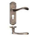 Project Asti Lever Handle on Backplate