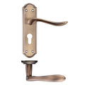 Project Lincoln Lever Handle on Backplate