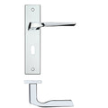 Lyra Lever Handle on Backplate