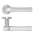 Aldo Lever Handle on Round Rose