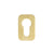 PVD Satin Brass