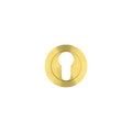 Euro Profile Escutcheon on Round Rose