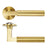 PVD Satin Brass