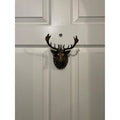 Stag Door Knocker - Heritage Finish - Brass bee
