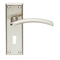 Trenta Lever on Backplate