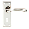 Cinquanta Lever on Backplate