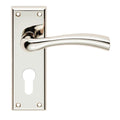 Cinquanta Lever on Backplate