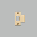 Buster + Punch Strike Plate Kit / T Shaped / 54MM Door Brass