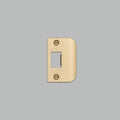 Buster + Punch Strike Plate Kit / D Shaped / Standard Door Brass