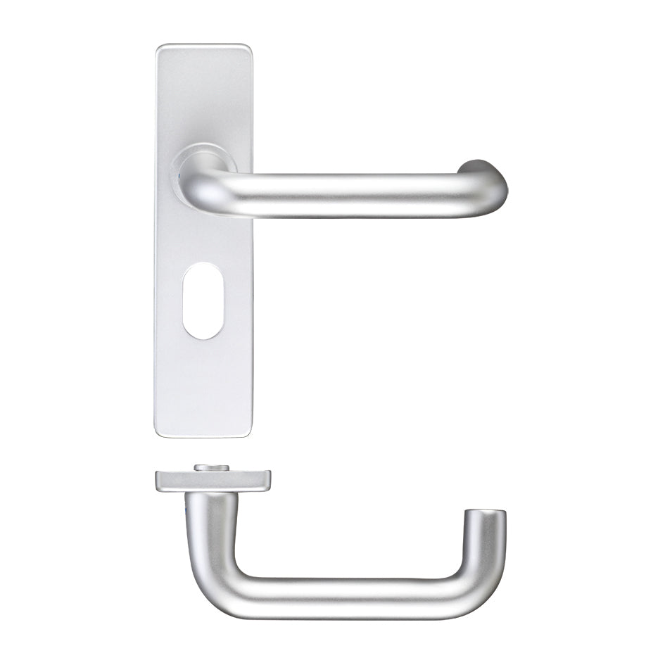 Return to Door Lever on Oval Profile Backplate (48.5mm)
