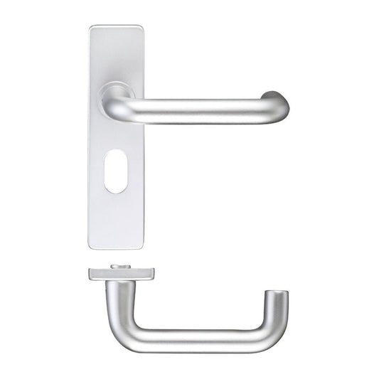 Zoo Hardware Return to Door Lever on Oval Profile Backplate (48.5mm) in silver finish, featuring a cylindrical lever and a rectangular backplate for installation on doors.