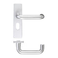 Return to Door Lever on Oval Profile Backplate (48.5mm)