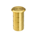 Zoo Hardware Flush Bolt Dust Socket for Concrete in stainless steel, measuring 20x38mm, featuring a cylindrical design with a rounded top and four distinct grooves for secure placement.