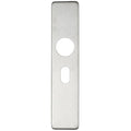 Zoo Hardware Cover Plate for 19mm and 22mm Return to Door Lever on Backplate in brushed stainless steel, featuring a rectangular shape with a round and an oval cutout.