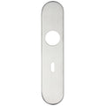 Zoo Hardware cover plate for 19mm and 22mm return to door lever on backplate, featuring a brushed stainless steel finish with a central hole and a slot for lever installation.