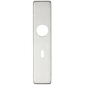 Zoo Hardware Cover Plate for 19mm and 22mm Return to Door Lever on Backplate in brushed stainless steel, featuring a rectangular shape with a round hole and an elongated slot for the lever mechanism.