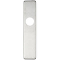 Zoo Hardware Cover Plate for 19mm and 22mm Return to Door Lever on Backplate in brushed stainless steel, featuring a narrow rectangular shape with a central circular hole.
