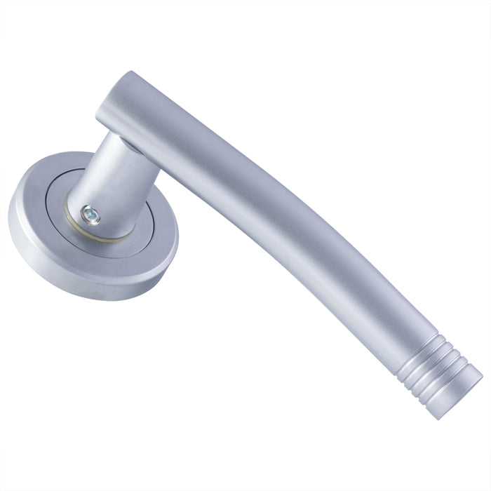 Carolina Lever On Rose