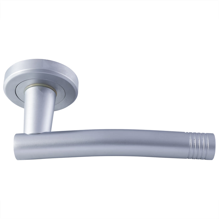 Carolina Lever On Rose