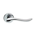 Verdun Lever On Rose