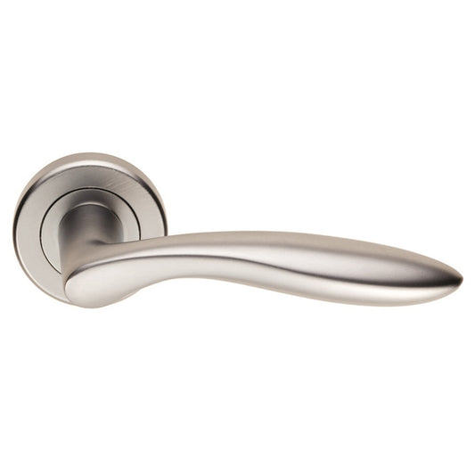 Shark Lever on Rose